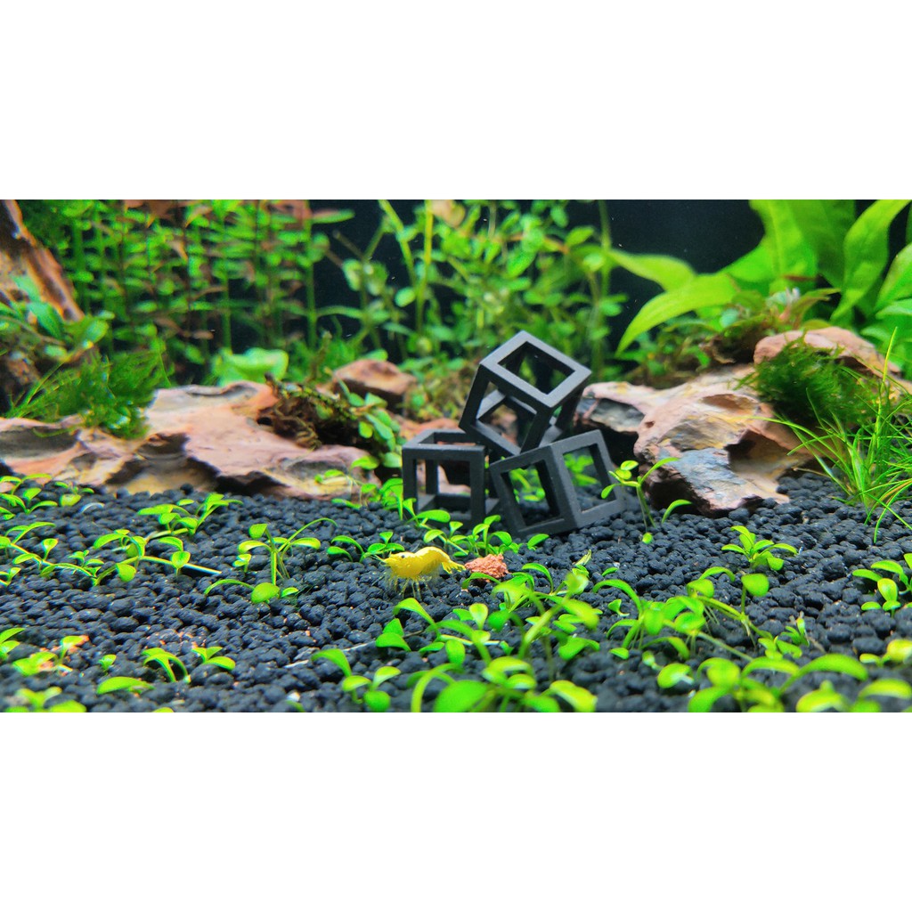 Men vi sinh cao cấp extrabio làm sạch nước