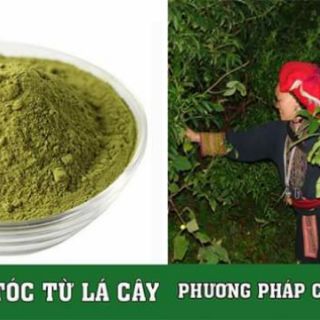 Bột lá nhuộm tóc thảo dược ogatic