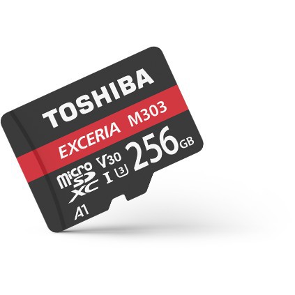 Thẻ Nhớ Microsdxc 256Gb Toshiba Exceria U3 Hổ Trợ Video 4K - Bh 5 Năm | BigBuy360 - bigbuy360.vn
