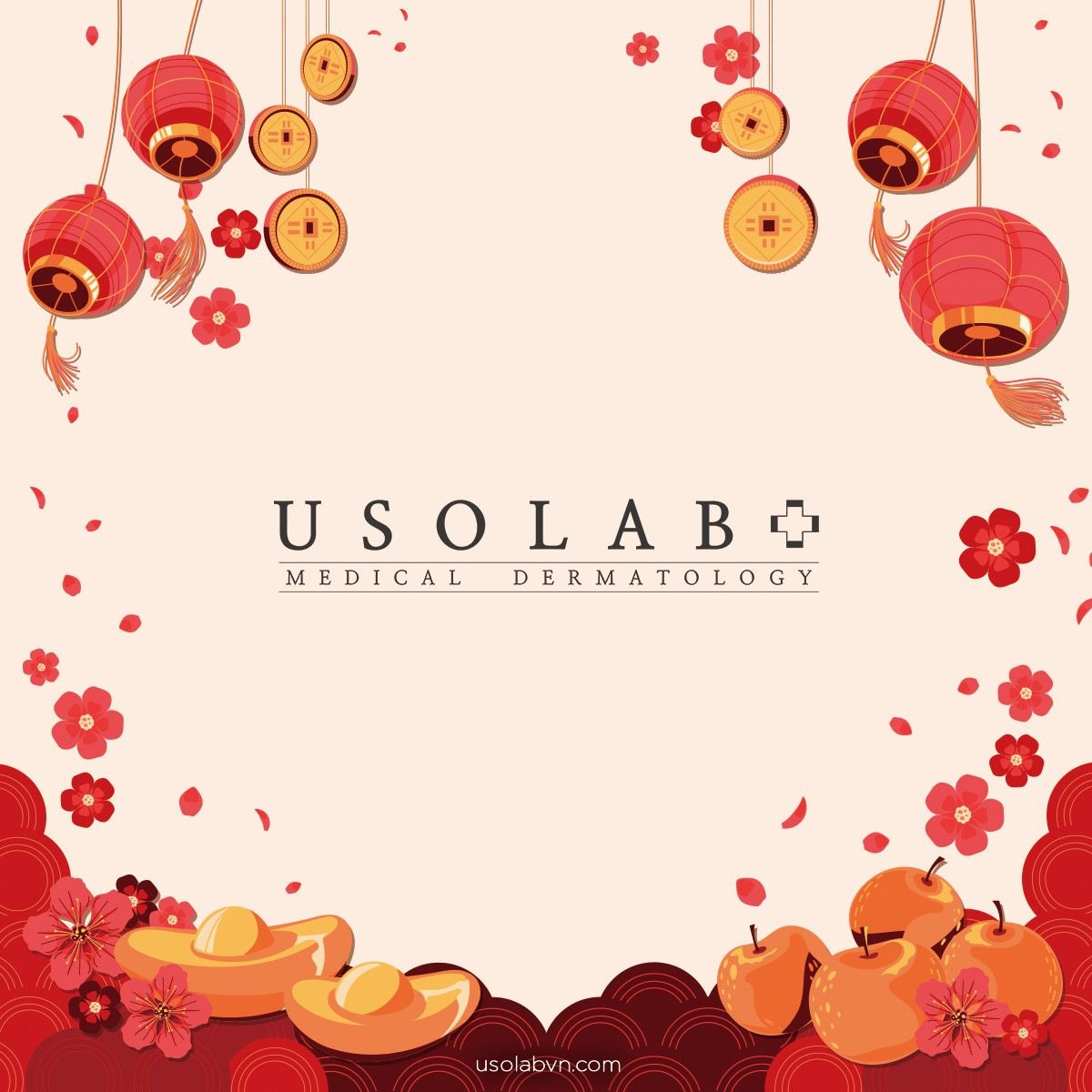 Usolab Việt Nam