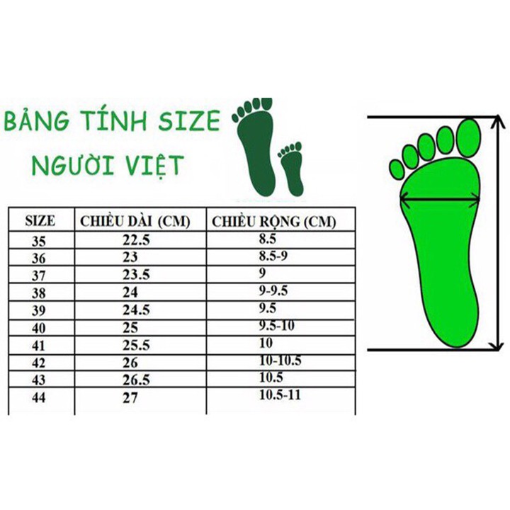 ( 2 màu) Giày Thể Thao Nam Phong Cách Hàn Quốc Họa Tiết LÔNG VŨ - Giày Nam Đẹp 2021