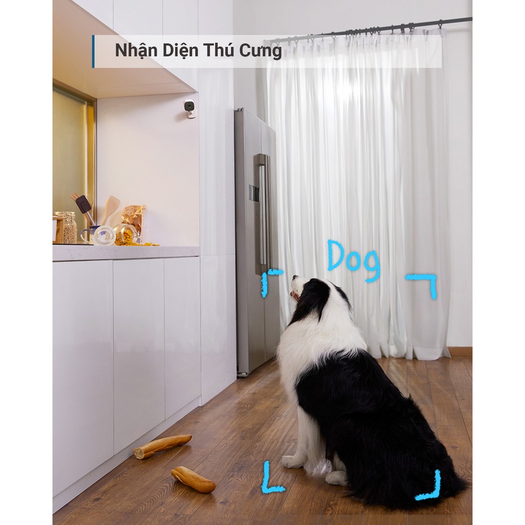 Camera an ninh trong nhà 360 độ Eufy Indoor Cam PT 2K (T8410)