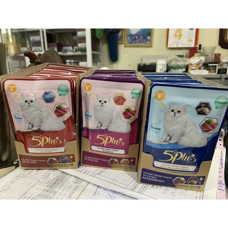 Pate 5Plus Catchy dành cho mèo gói 70gr