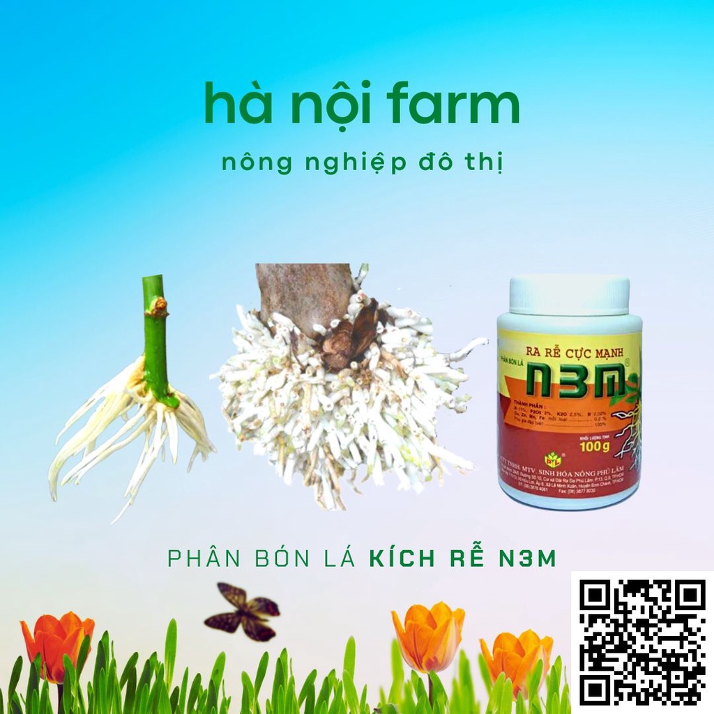 N3M kích ra rễ dạng bột,Kích thích ra rễ cực mạnh- kích thích ra rễ, nảy mầm…- hũ100g