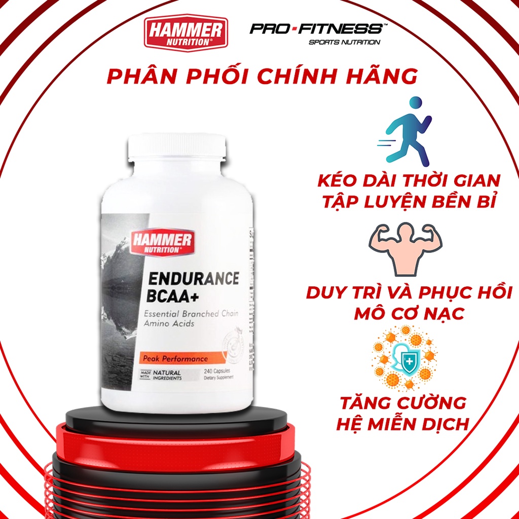 Viên uống tăng cường sức bền Endurance BCAA+ Hammer Nutrition - Tổng hợp Protein, kéo dài thời gian tập luyện, chạy bộ