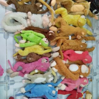 Gấu bông khỉ của Pham Thuy