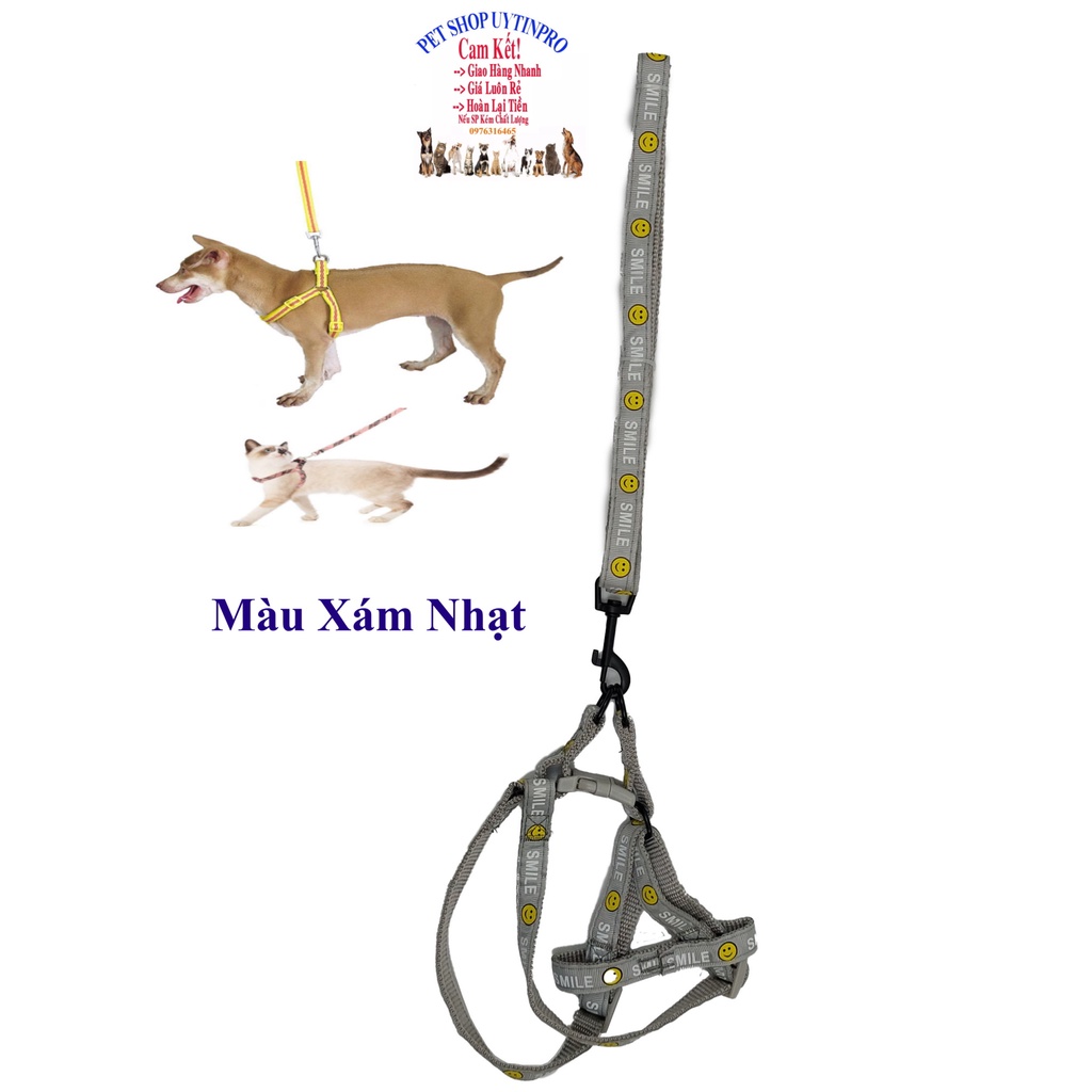 Dây dắt kèm yếm cho Chó Mèo từ 5kg đến 10kg Bản rộng 1.5cm In chữ SMILE Chất liệu dù bền, chắc, Yếm có thể điều chỉnh