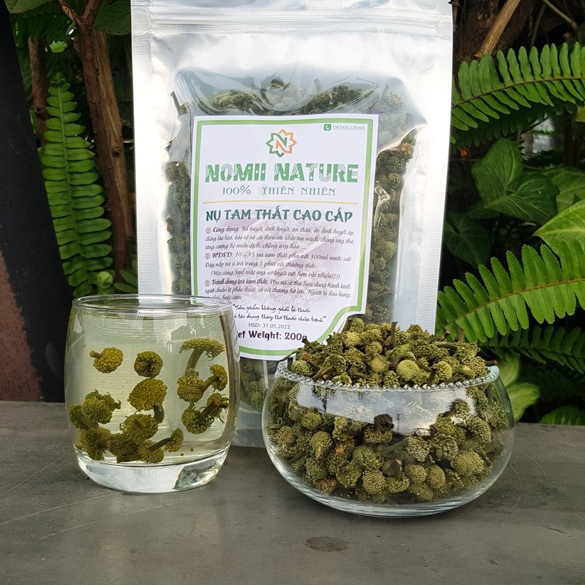 Nụ tam thất bao tử Lào Cai ⭐ FREESHIP (100g)