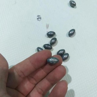 Combo 10 Viên chì câu cá tròn xuyên tâm