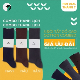 Tất cổ cao nam BRODY combo hộp 3 đôi tất mang giày tây Cotton combed cao cấp 3 màu basic - CB3MC
