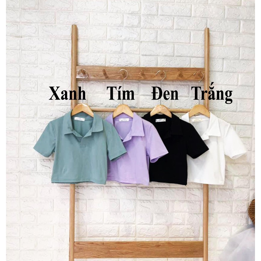 Áo Croptop cổ sơ mi kiểu thun nữ tay ngắn (video-ảnh thật)