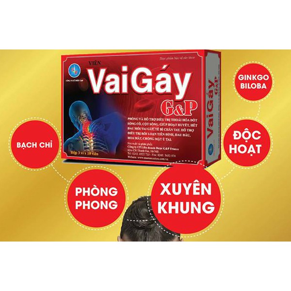 Viên Vai Gáy G&P – Hỗ trợ giảm thoái hóa đốt sống cổ, cột sống, giúp hoạt huyết, hết đau mỏi vai gáy