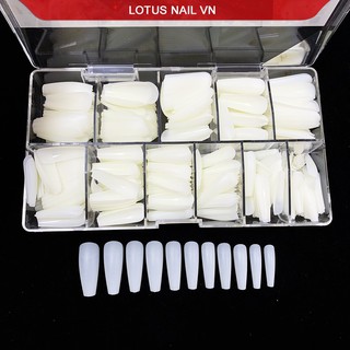 Móng úp HSM thang nhám sẵn chuẩn phom- Cheap nail