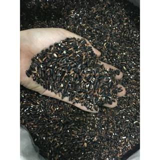 Nếp Cẩm[Nếp Than] Tây Bắc 1kg