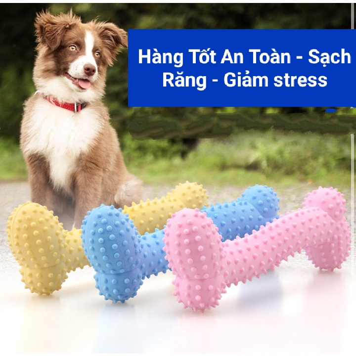 Đồ chơi xương gặm cho chó mèo, xương gặm cao su có gai, sạch răng chó mèo - Loại Tốt An Toàn cho Bé