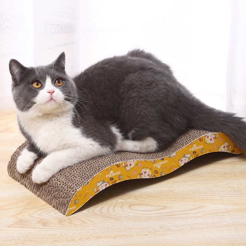 Bàn cào móng cho mèo tặng kèm catnip hình sóng nước - giúp mài mòn bớt móng giảm căng thẳng (CM13.1) TATAPET