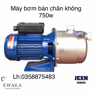 MÁY BƠM BÁN CHÂN KHÔNG ĐẦU INOX EWARA 750w