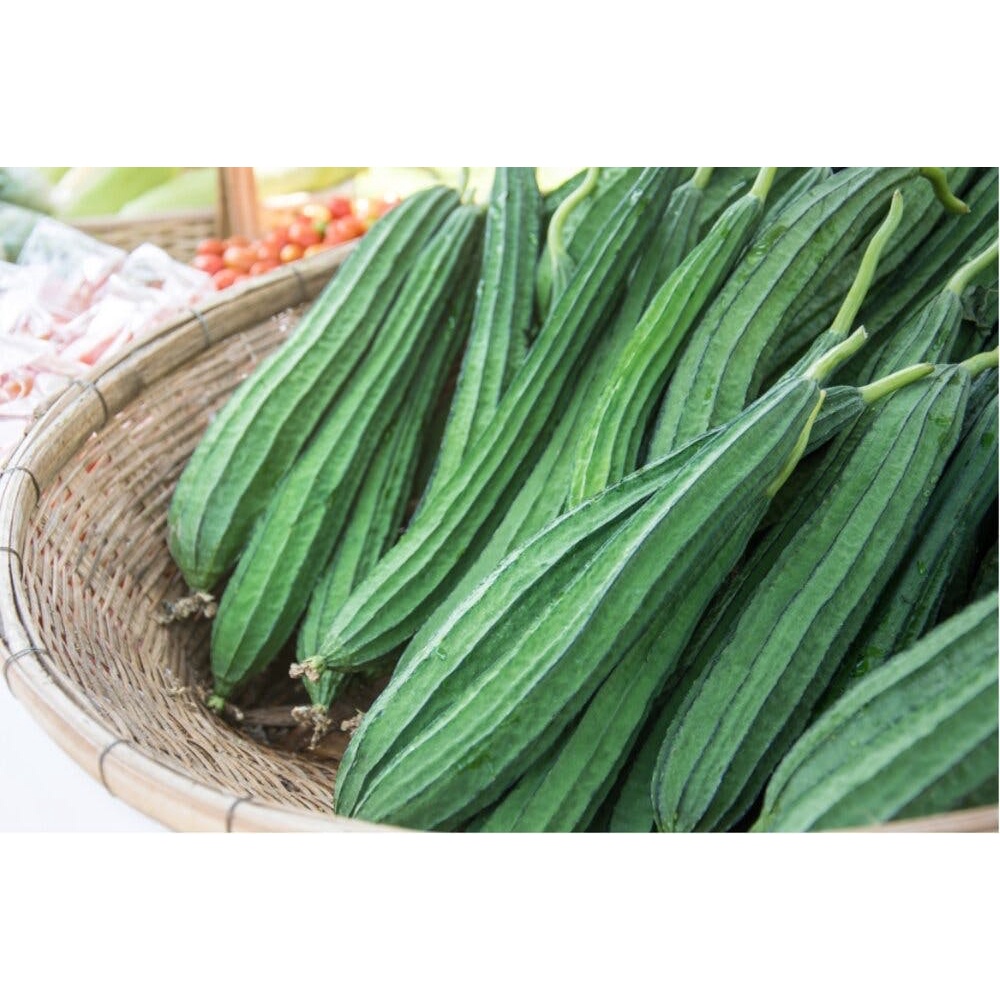 Hạt_Giống_Mướp_Khía 15 hạt