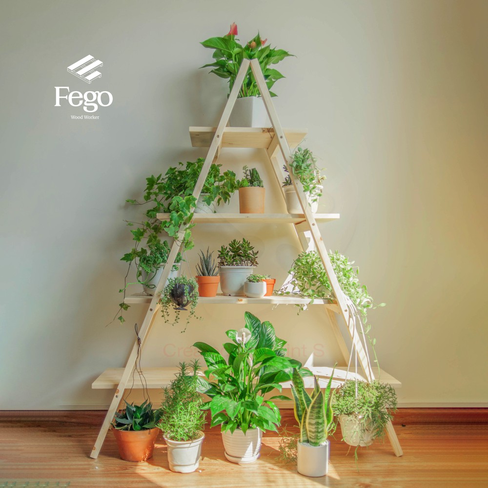 Kệ 2 thang tam giác FEGO gỗ thông tự nhiên