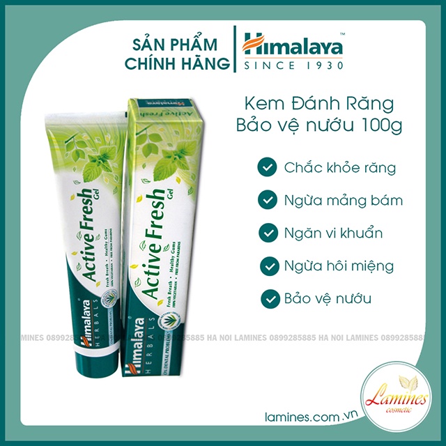 Kem Đánh Răng Thảo Mộc Himalaya Herbals Bảo Vệ Nướu, Hơi Thở Thơm Mát | Active Fresh Toothpaste 100g