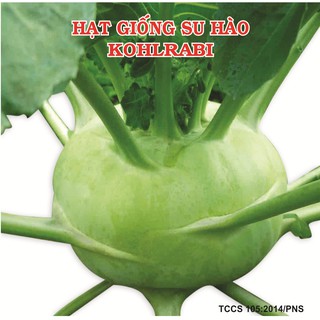 Hạt Giống Su Hào Phú Nông 2 Gram