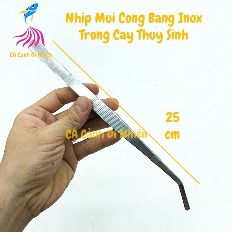 Nhíp Mũi Cong Trồng Cây Thủy Sinh Bằng Inox Size 25 Cm