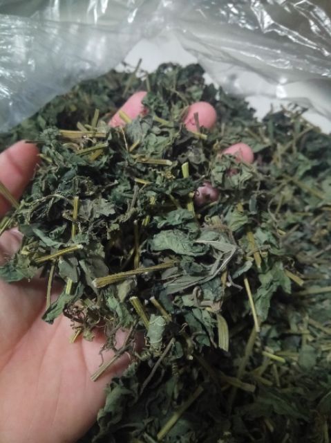 Giảo Cổ Lam 1kg
