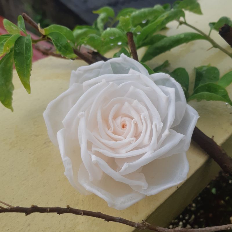 Hoa cài áo handmade cao cấp