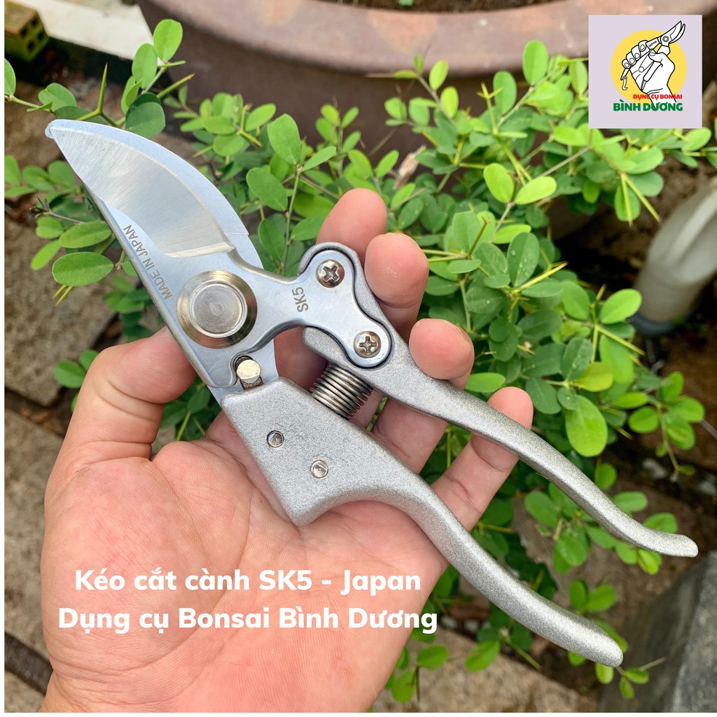 [MUA 1 TẶNG 1] KÉO CẮT CÀNH JAPAN TẶNG KÉO TỈA DĂM TAIWAN CẮT TỈA CÂY CẢNH BONSAI