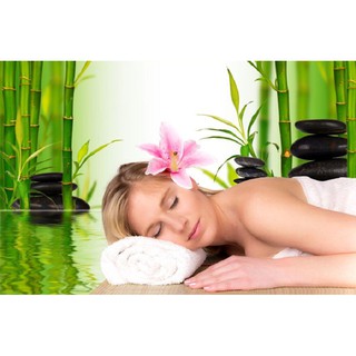 Tranh dán tường 3D  SPA - VẢI LỤA  phủ kim sa (kích thước theo yêu cầu)