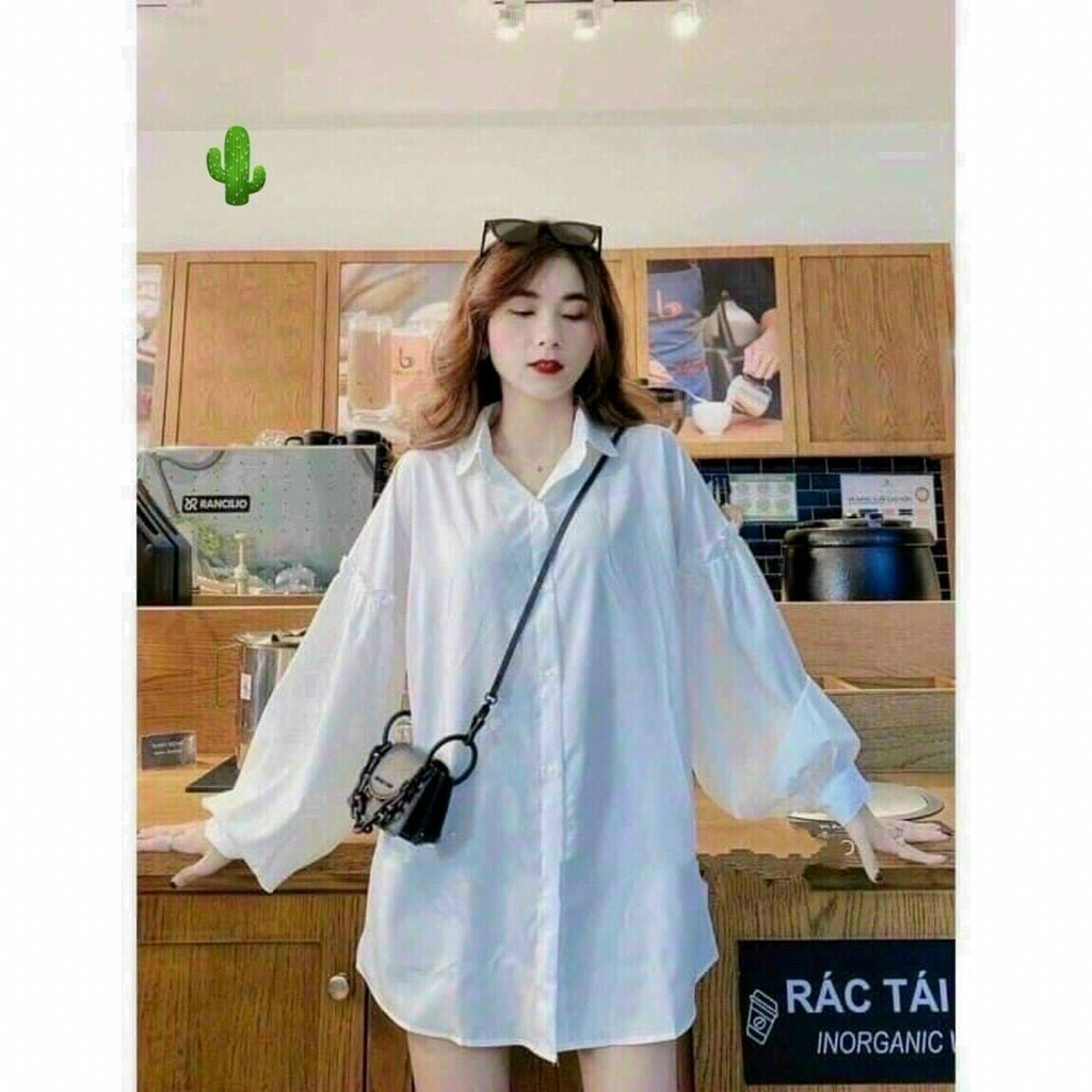 Áo sơ mi nữ tay dài xòe ren trơn cực xinh cho cô nàng năng động ca