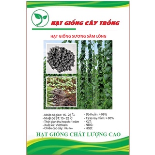 Hạt giống sương sâm lông ct365 - gói 30 hạt