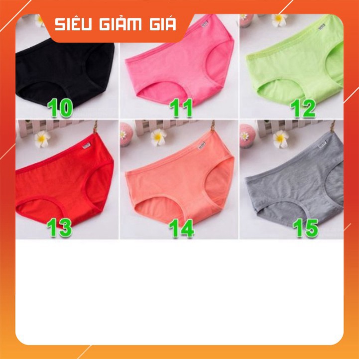 Quần Lót Cotton Siêu Đẹp Size L Đa Dạng Màu Sắc, Tất Giấy - H & N Shop 2