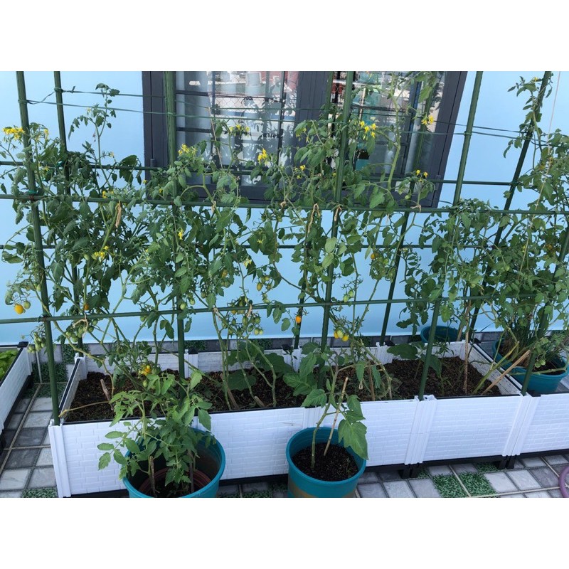 CHẬU LẮP RÁP 40x40x35.5cm TRỒNG RAU SẠCH - LR2