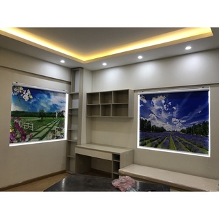 Rèm cuốn in tranh/ Rèm tranh 3D