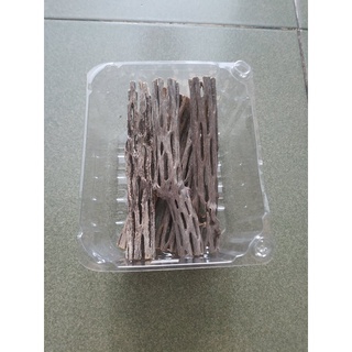 Lũa cholla (lũa xương rồng) cho hồ tép cảnh
