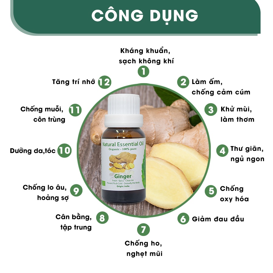 [AROMA] TINH DẦU THIÊN NHIÊN GỪNG