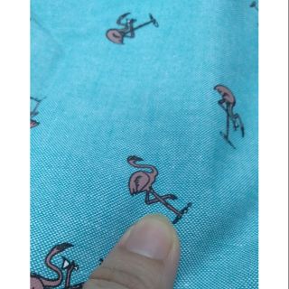 Linen denim hạc Hồng