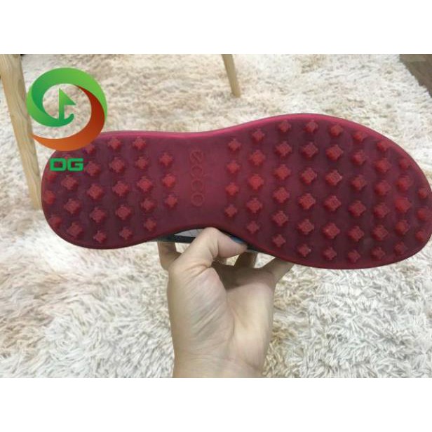 Giày Golf Ecco dây buộc ( freeship ) (chính _ hãng )