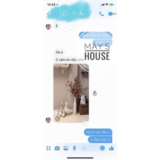 Combo 5 Cành lựu  chưng tết cao 95cm