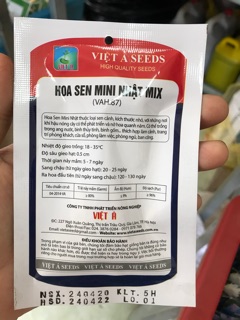 Hạt giống sen mini Nhật