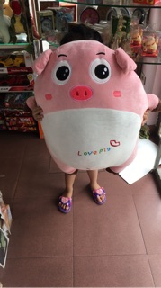 Heo Bông Lovely đủ các size