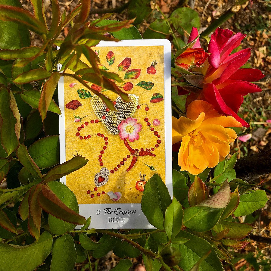 Bộ bài Herbcrafter's Tarot Kit