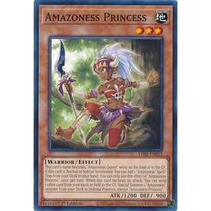 Thẻ bài Yugioh - TCG - Amazoness Princess / LDS1-EN022'