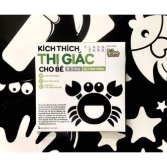 Thẻ Flashcard Thông Minh Kích Thích Thị Giác Của Trẻ Theo Phương Pháp Giáo Dục Glenn Doman