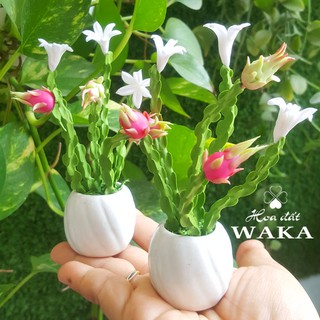 Hoa Đất Sét Mini- Cây Thanh Long