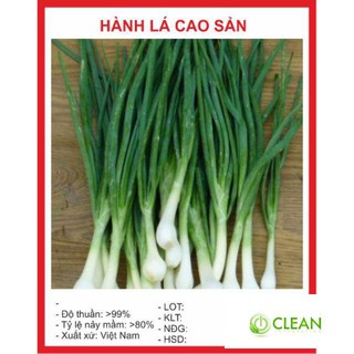 Hạt giống Hành lá 50 hạt
