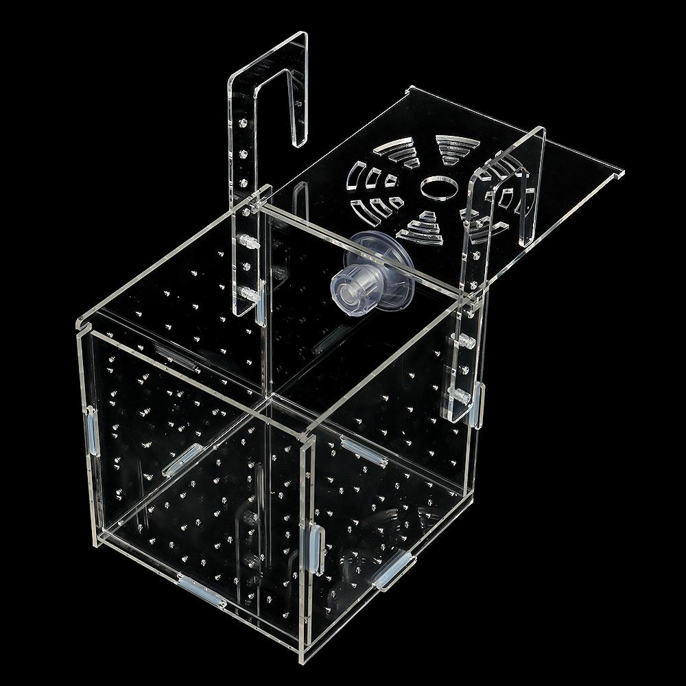 DORAW Hộp Nuôi Cá Cách Ly Tiện Lợi