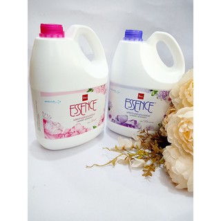 (TỐI ĐA 2 can) NƯỚC GIẶT ĐẬM ĐẶC ESSENCE