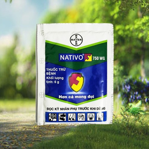 Nativo 750WG - Chuyên Trừ Các Loại Nấm Bệnh Cây Trồng